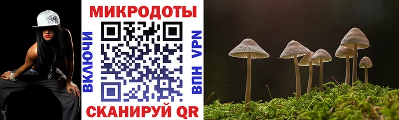 Псилоцибиновые грибы Psilocybe  MEGA зеркало  Фролово  купить закладку 